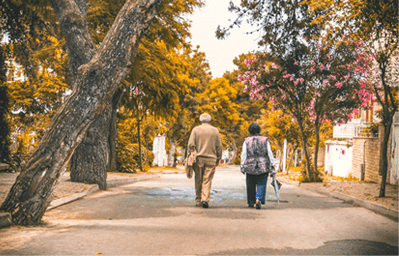 当你老了…… || 莫依慈 当你老了…… || 莫依慈