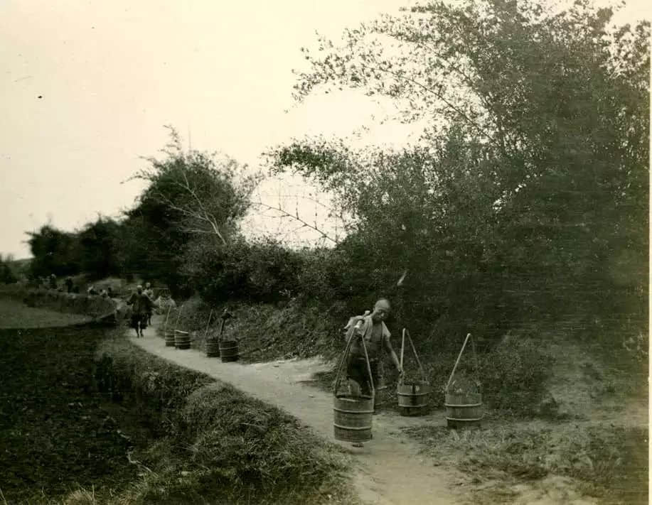 无知无畏倒“夜香” 无知无畏倒“夜香”