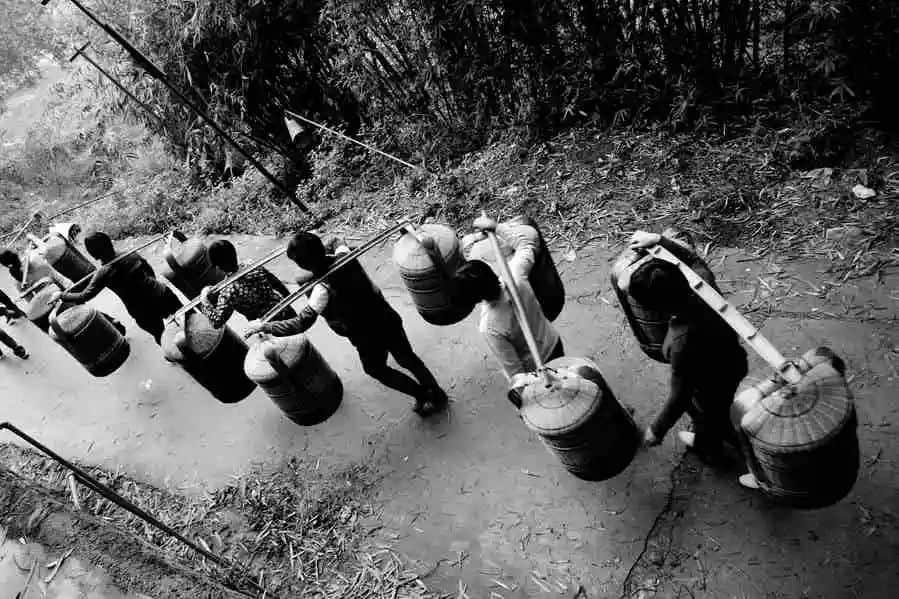 阿丽,这个女人好凄凉 阿丽,这个女人好凄凉