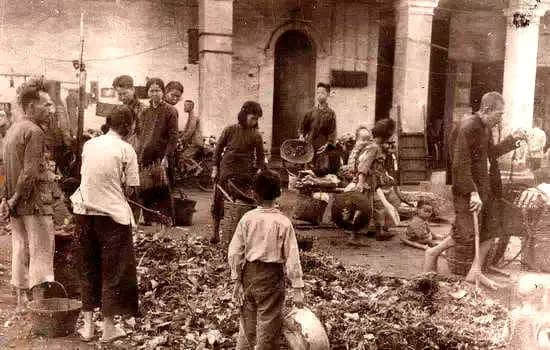 民以食为天(莫依慈) 民以食为天(莫依慈)