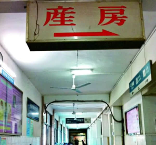 嫁女饼 生仔姜 风俗十八变‖ 莫依慈 嫁女饼 生仔姜 风俗十八变‖ 莫依慈