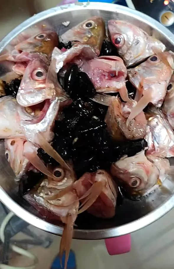 衣食在碗底 ‖ 莫依慈 衣食在碗底 ‖ 莫依慈