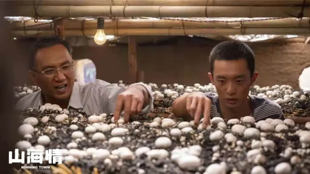 只有广东人才明白,圣诞饮热红酒还不如食它! 只有广东人才明白,圣诞饮热红酒还不如食它!