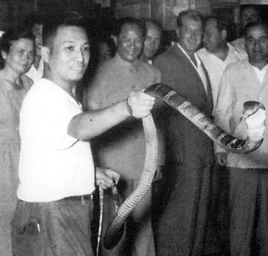 只有广东人才明白,圣诞饮热红酒还不如食它! 只有广东人才明白,圣诞饮热红酒还不如食它!