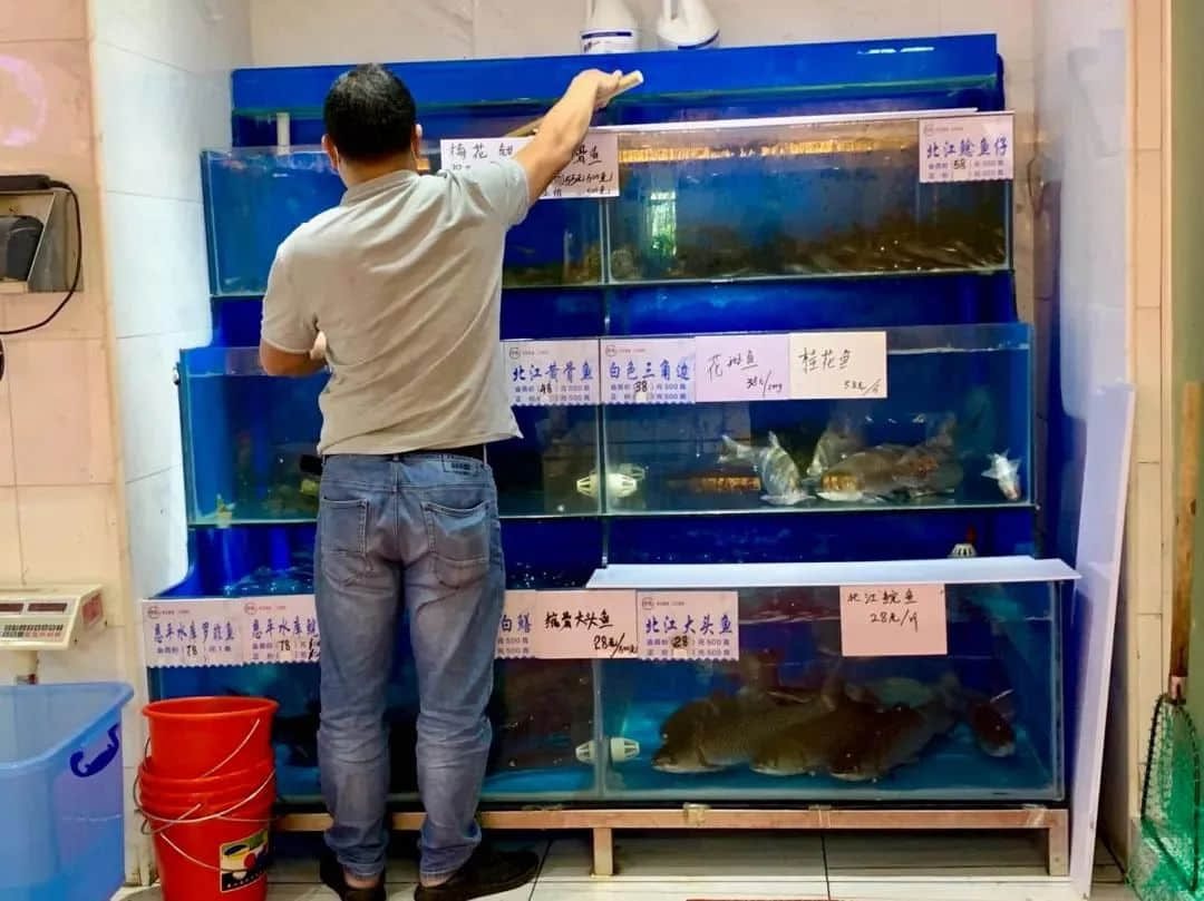 只有广东人才明白,圣诞饮热红酒还不如食它! 只有广东人才明白,圣诞饮热红酒还不如食它!