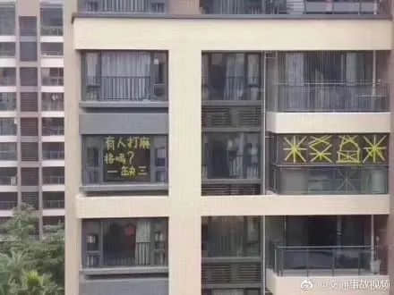 花都有疫情啦,树还会远吗?不如在家打麻雀吧! 花都有疫情啦,树还会远吗?不如在家打麻雀吧!