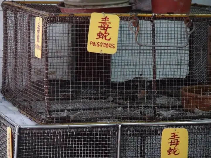 只有广东人才明白,圣诞饮热红酒还不如食它! 只有广东人才明白,圣诞饮热红酒还不如食它!