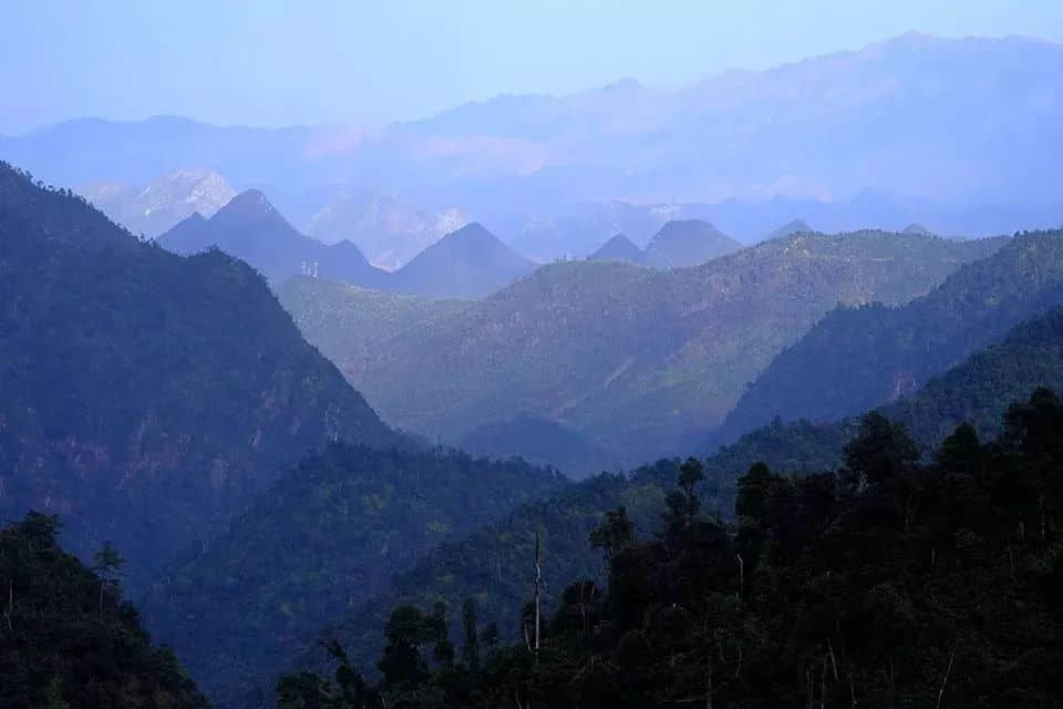 只有广东人才明白,圣诞饮热红酒还不如食它! 只有广东人才明白,圣诞饮热红酒还不如食它!