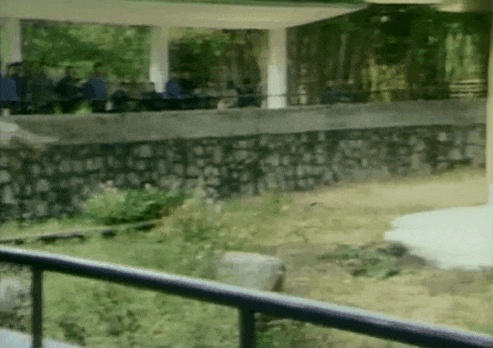 只有5.3%的广东人看央视春晚,那剩下的94.7%的人在干什么? 只有5.3%的广东人看央视春晚,那剩下的94.7%的人在干什么?