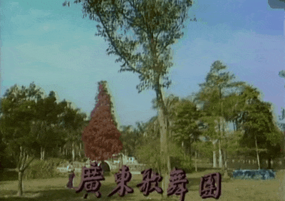 只有5.3%的广东人看央视春晚,那剩下的94.7%的人在干什么? 只有5.3%的广东人看央视春晚,那剩下的94.7%的人在干什么?