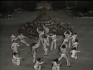 只有5.3%的广东人看央视春晚,那剩下的94.7%的人在干什么? 只有5.3%的广东人看央视春晚,那剩下的94.7%的人在干什么?