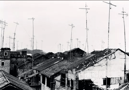 只有5.3%的广东人看央视春晚,那剩下的94.7%的人在干什么? 只有5.3%的广东人看央视春晚,那剩下的94.7%的人在干什么?