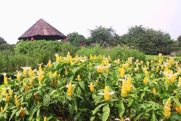 广州人的花花世界 广州人的花花世界