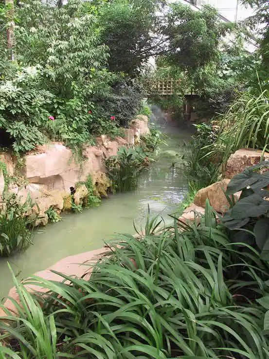 广州人的花花世界 广州人的花花世界