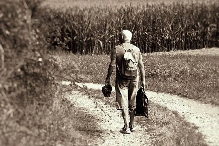 春寒中的虎年闲话 || 莫依慈 春寒中的虎年闲话 || 莫依慈