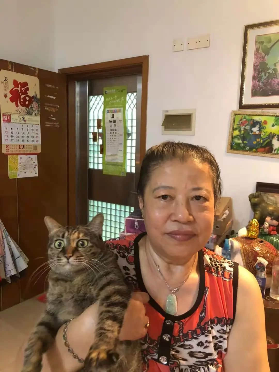 从我家的猫想到人类命运 || 莫依慈 从我家的猫想到人类命运 || 莫依慈