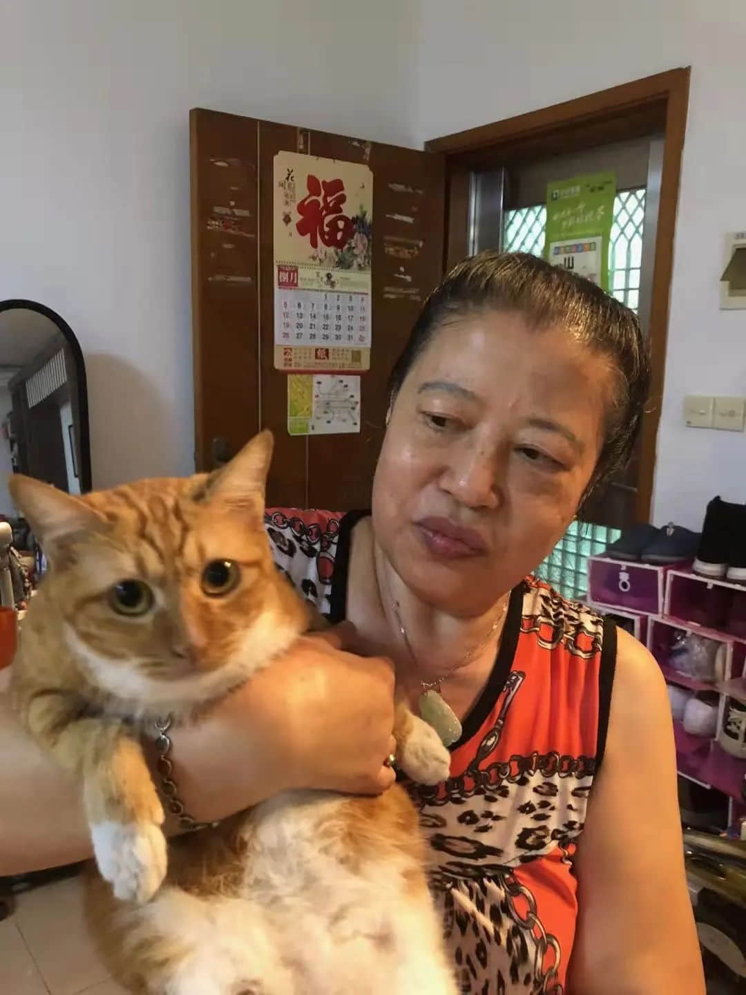 从我家的猫想到人类命运 || 莫依慈 从我家的猫想到人类命运 || 莫依慈