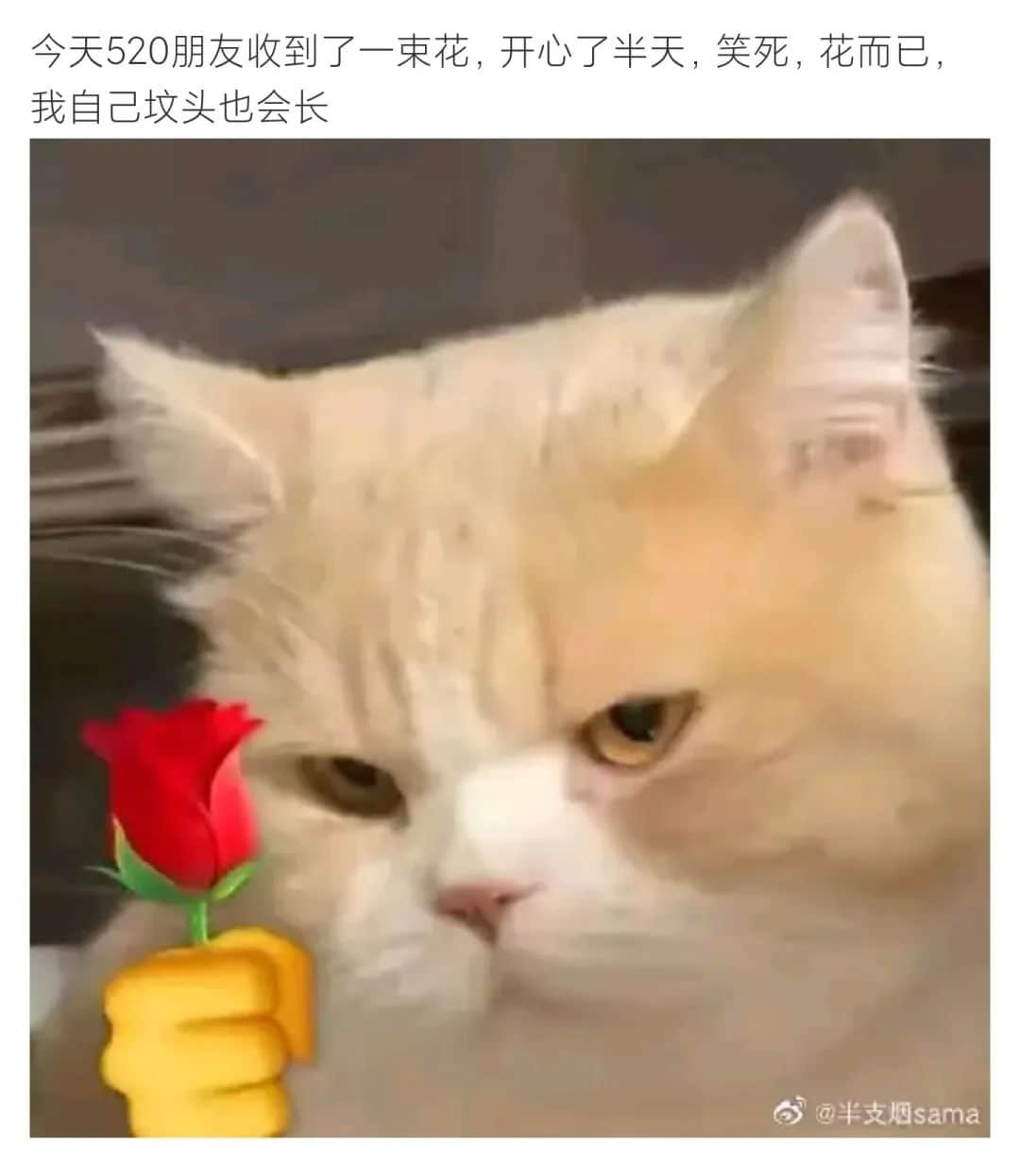 今时今日，谁还在乎520？