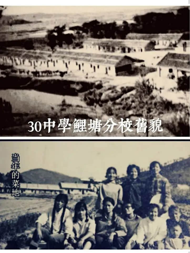 市三十中学往事:拾起记忆的碎片 || 明志辉 市三十中学往事:拾起记忆的碎片 || 明志辉