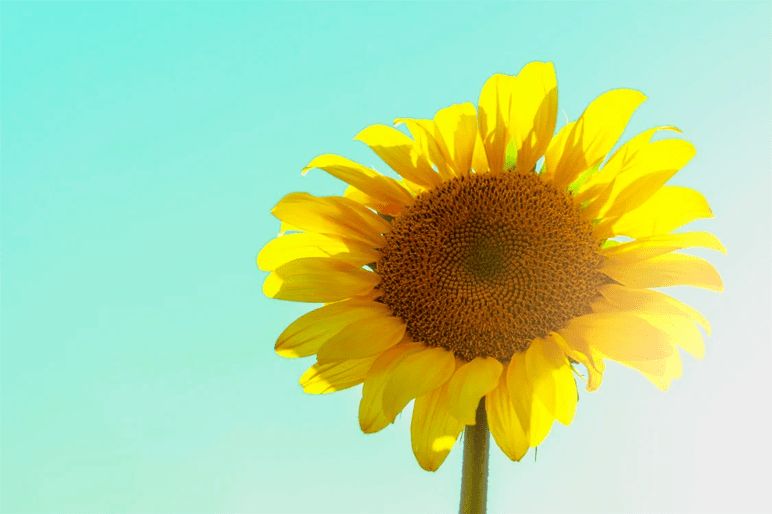 粤语趣谈:错荡 他条 梳乎 || 李海明 粤语趣谈:错荡 他条 梳乎 || 李海明