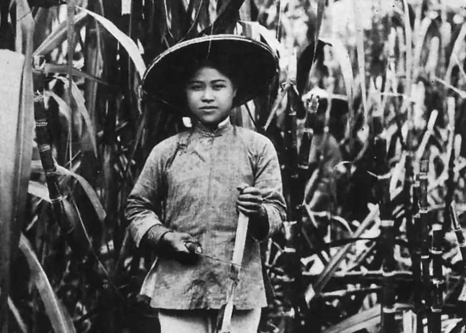 丁日昌苦心经营宝岛,历尽艰辛 丁日昌苦心经营宝岛,历尽艰辛