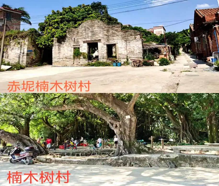 市三十中学往事:拾起记忆的碎片 || 明志辉 市三十中学往事:拾起记忆的碎片 || 明志辉