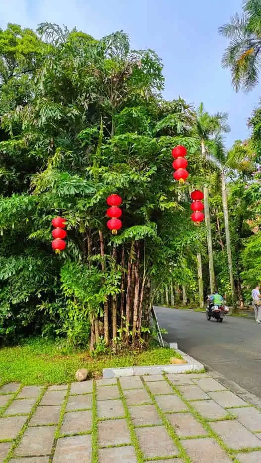 探望广州美髯公 || 李健鸿 探望广州美髯公 || 李健鸿