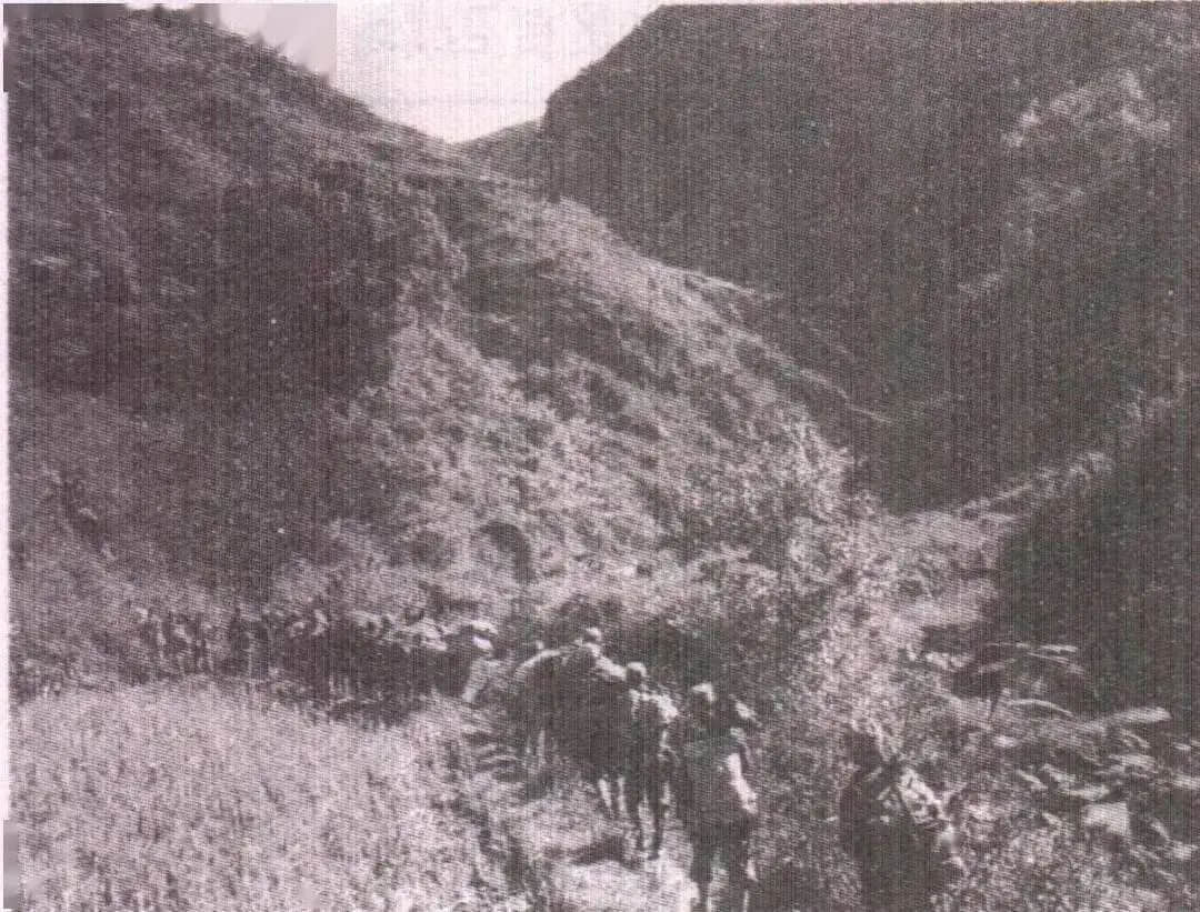 怀念我们的父亲 || 宁永青 等