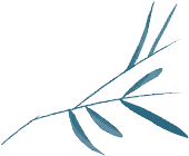 一个被遗忘的岭南才子 一个被遗忘的岭南才子