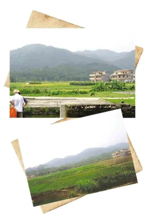离广州市区八十多公里,就有如此古朴的乡村 离广州市区八十多公里,就有如此古朴的乡村