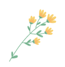 在广州的万绿丛中漫步 || 李健鸿 在广州的万绿丛中漫步 || 李健鸿