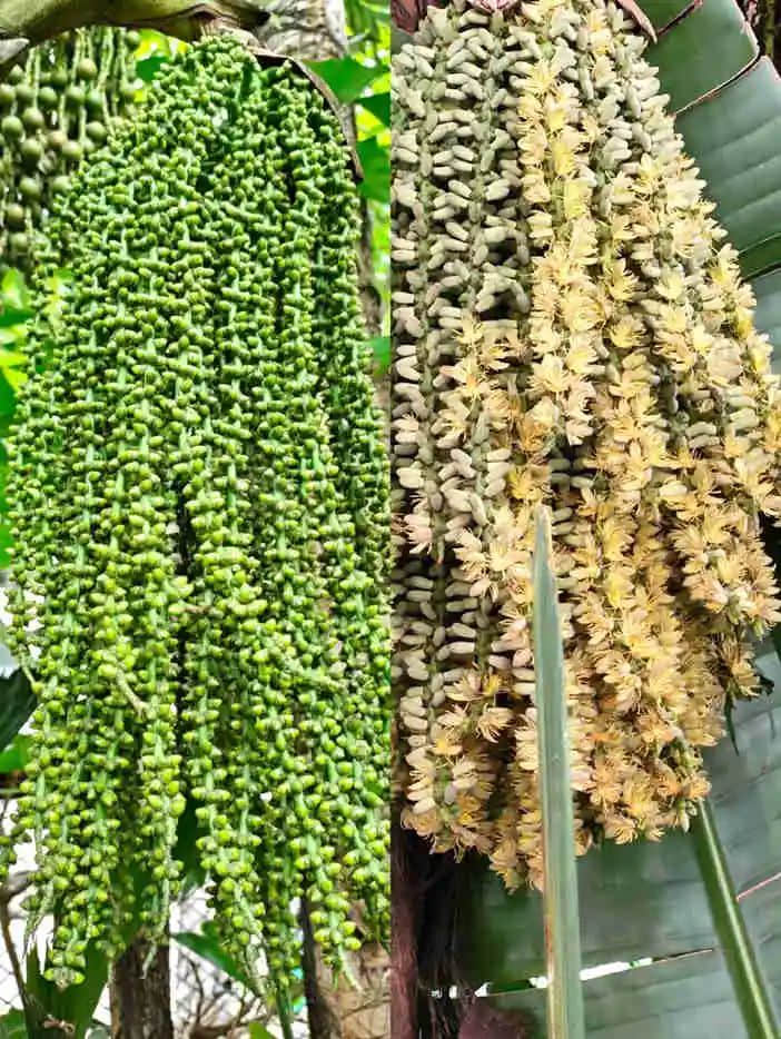 探望广州美髯公 || 李健鸿 探望广州美髯公 || 李健鸿