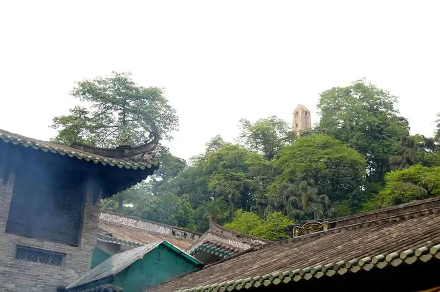 越秀山的木棉树,半里飞红惊火树 || 冯沛祖 越秀山的木棉树,半里飞红惊火树 || 冯沛祖