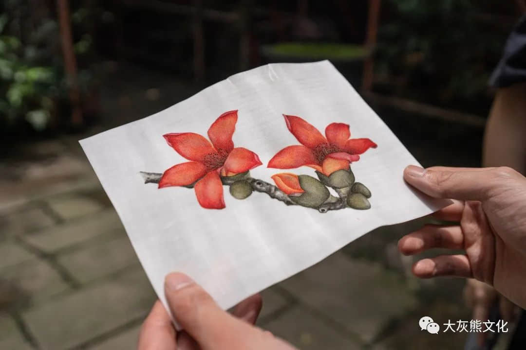 展讯 | 通草新颜:颜康平通草画作品展 展讯 | 通草新颜:颜康平通草画作品展