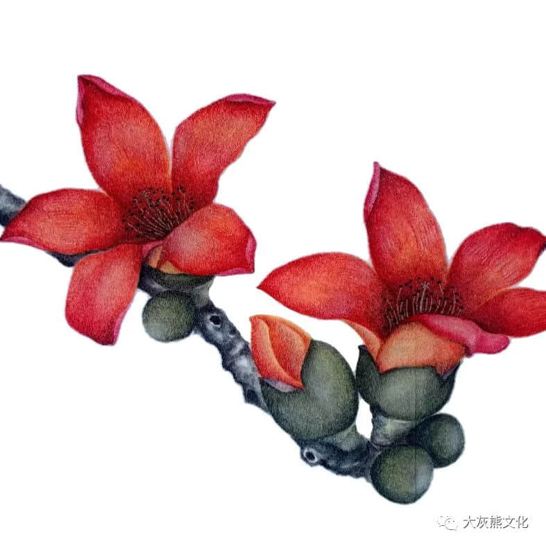 展讯 | 通草新颜:颜康平通草画作品展 展讯 | 通草新颜:颜康平通草画作品展