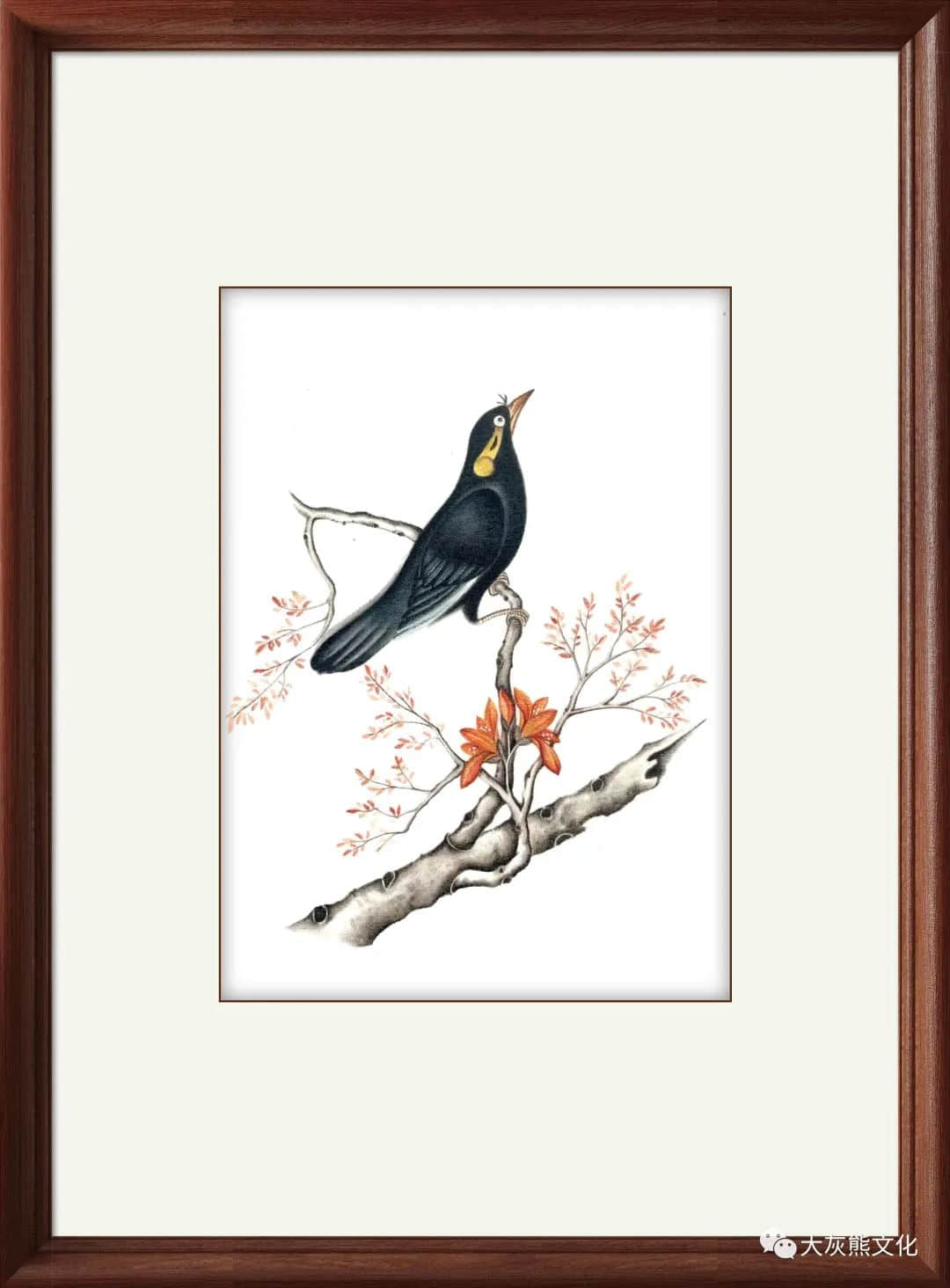 展讯 | 通草新颜:颜康平通草画作品展 展讯 | 通草新颜:颜康平通草画作品展