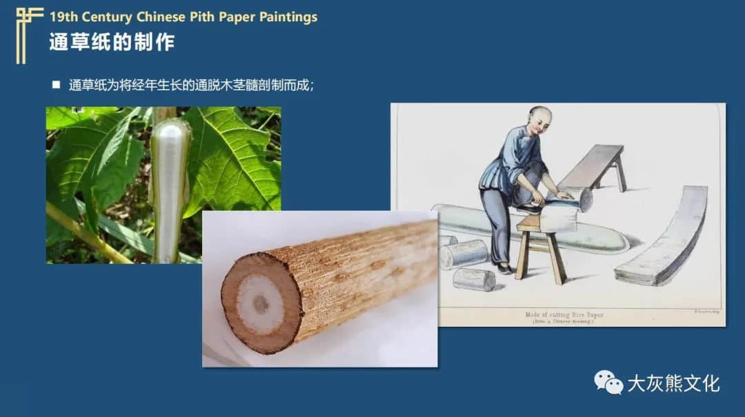 展讯 | 通草新颜:颜康平通草画作品展 展讯 | 通草新颜:颜康平通草画作品展