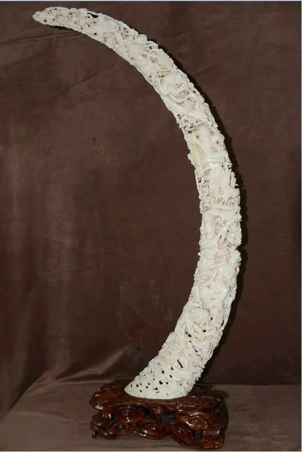 何松柏与南国手工艺的深厚情缘 || 莫泽辉 何松柏与南国手工艺的深厚情缘 || 莫泽辉