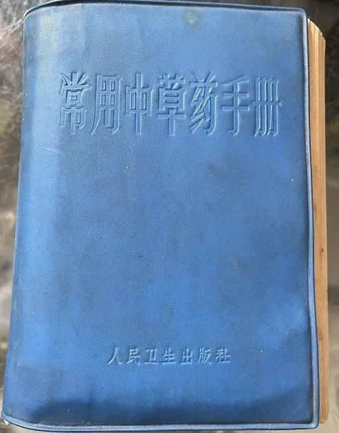 从老电影《红雨》说到新陶芳 || 荔人行 从老电影《红雨》说到新陶芳 || 荔人行