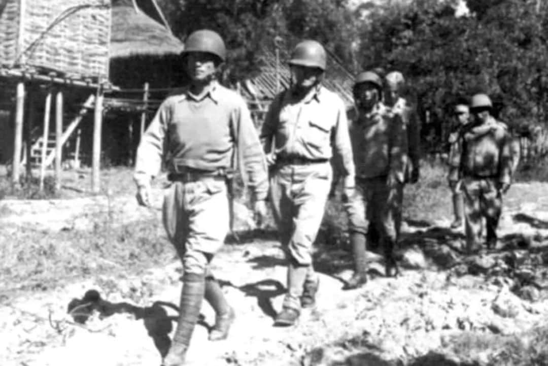 从一张广州大象照片说开去 || 荔人行 从一张广州大象照片说开去 || 荔人行