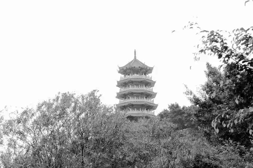 中山人的血脉渊源 中山人的血脉渊源