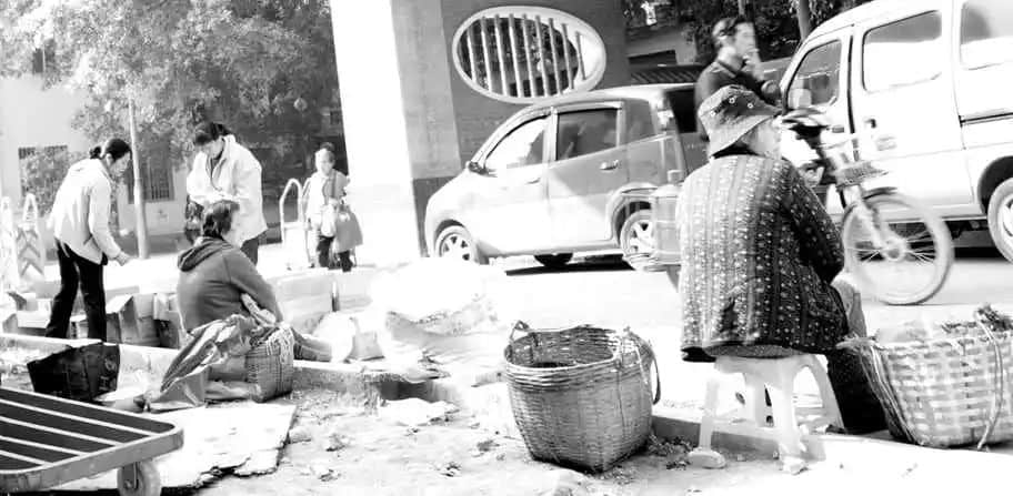 村妇之殇:死在猪棚里的帼嫱 || 莫依慈 村妇之殇:死在猪棚里的帼嫱 || 莫依慈