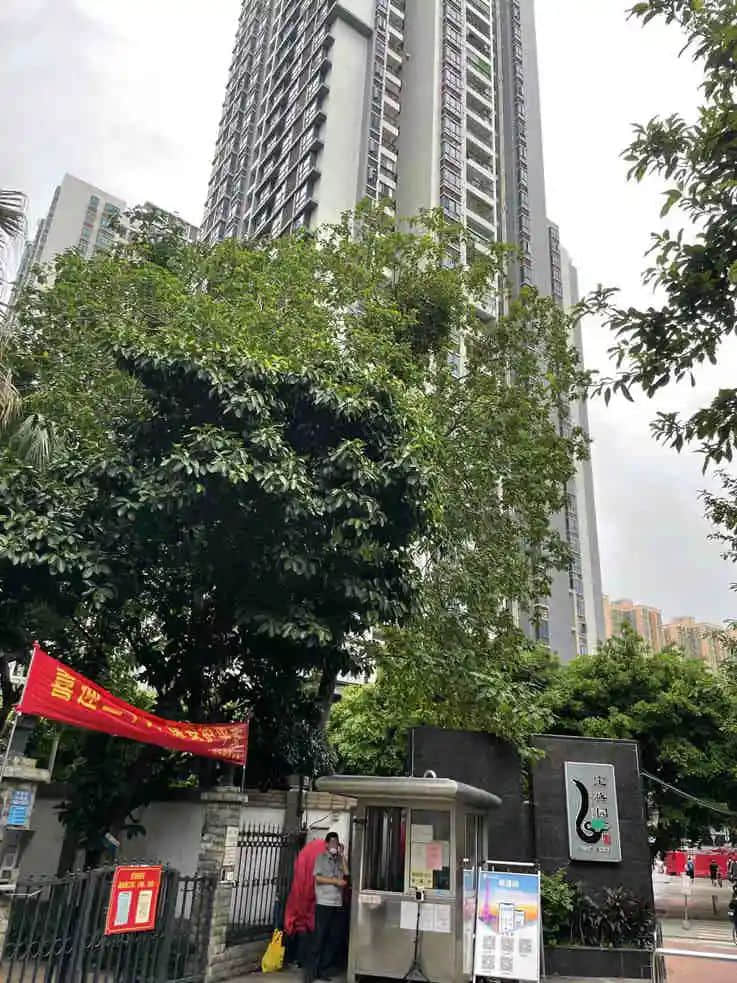 逢源路华侨公寓话旧 || 荔人行 逢源路华侨公寓话旧 || 荔人行