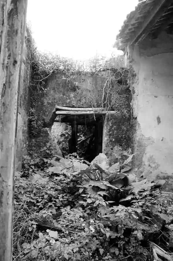 村妇之殇:死在猪棚里的帼嫱 || 莫依慈 村妇之殇:死在猪棚里的帼嫱 || 莫依慈