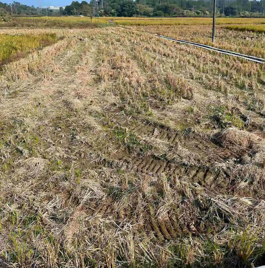 消失了的51中,消失不了的记忆 || 舒夫佳 消失了的51中,消失不了的记忆 || 舒夫佳