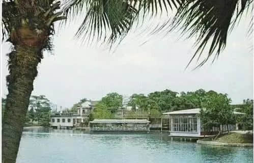 逢源路华侨公寓话旧 || 荔人行 逢源路华侨公寓话旧 || 荔人行