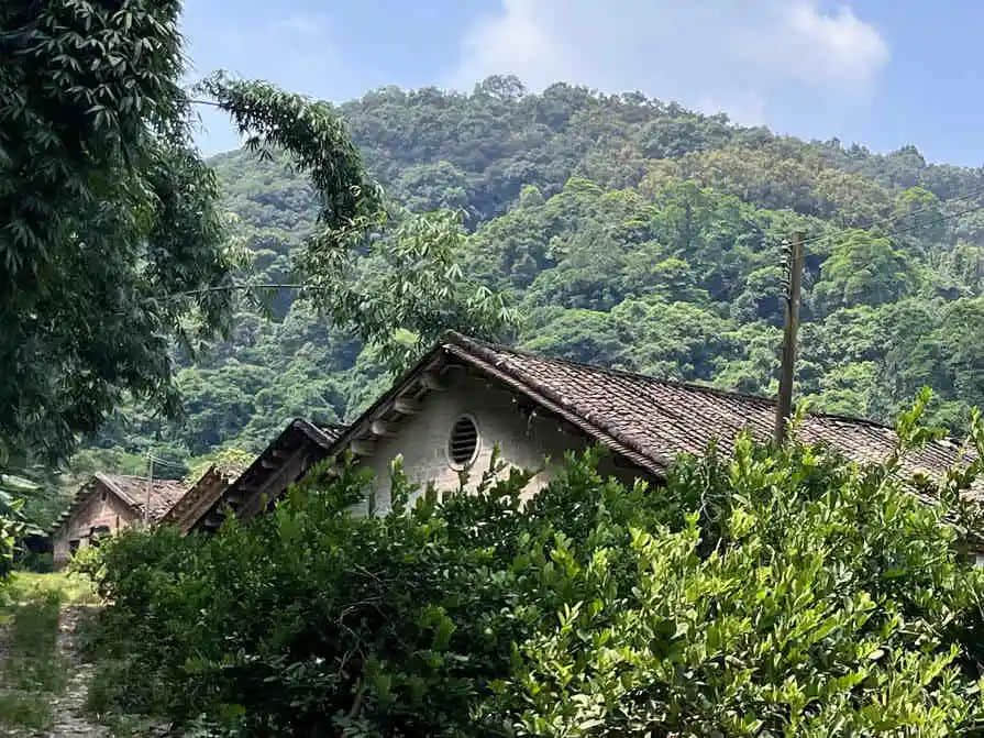 追忆56中学沙田分校的往事 || 明志辉 追忆56中学沙田分校的往事 || 明志辉