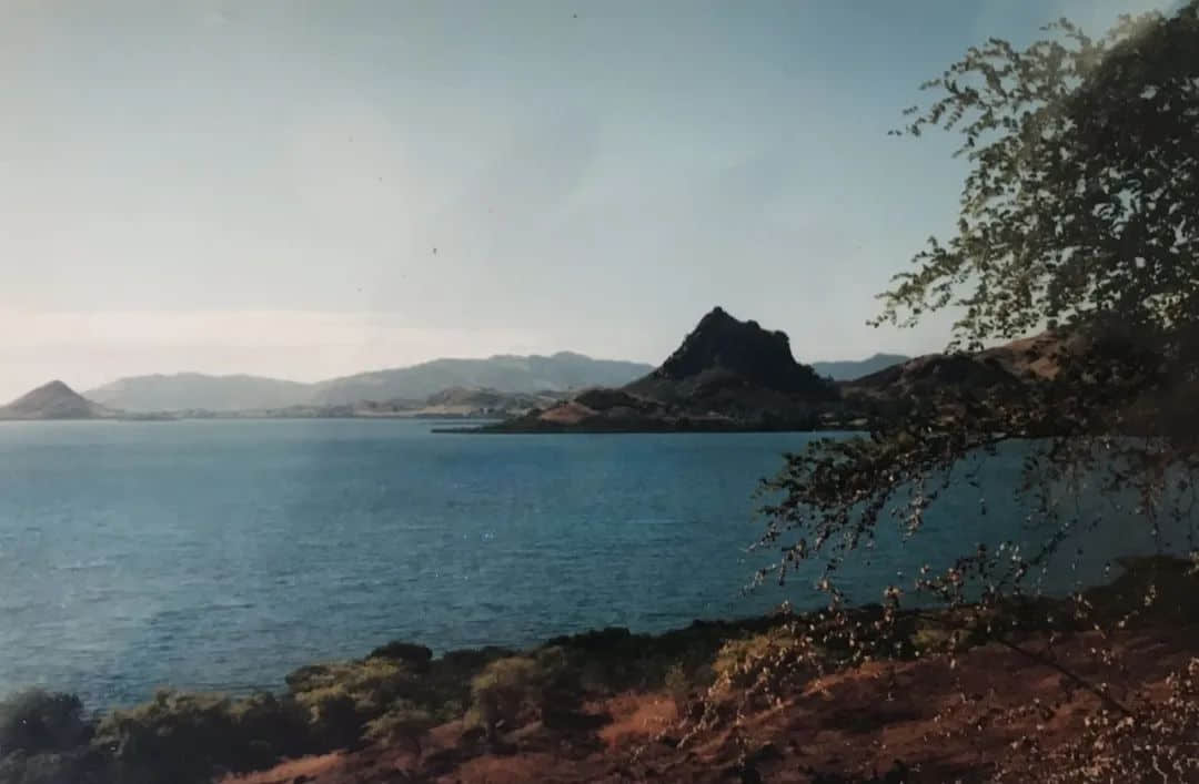 女王使我懂得“做人要谦卑”的道理 || 南太井蛙 女王使我懂得“做人要谦卑”的道理 || 南太井蛙