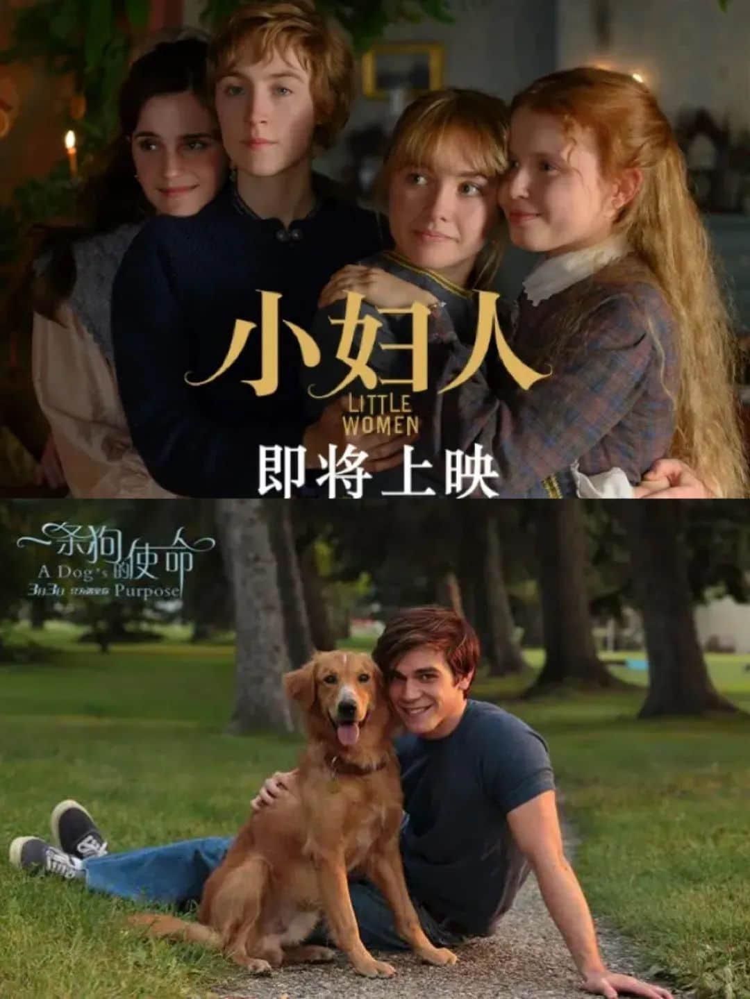 从《饭气攻心》到《还是觉得你最好》,改了名也丢了魂? 从《饭气攻心》到《还是觉得你最好》,改了名也丢了魂?