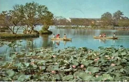 逢源路华侨公寓话旧 || 荔人行 逢源路华侨公寓话旧 || 荔人行